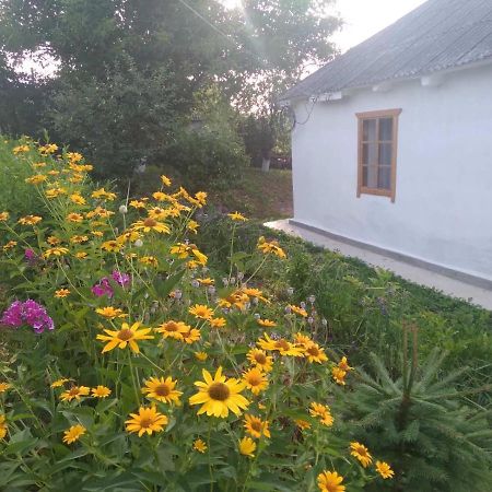 Соколине Гніздо Villa Dmitrenki Kültér fotó