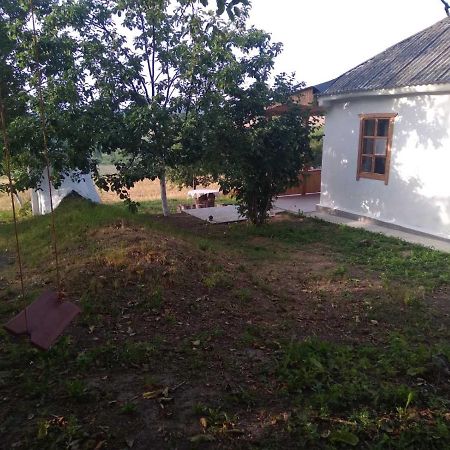 Соколине Гніздо Villa Dmitrenki Kültér fotó