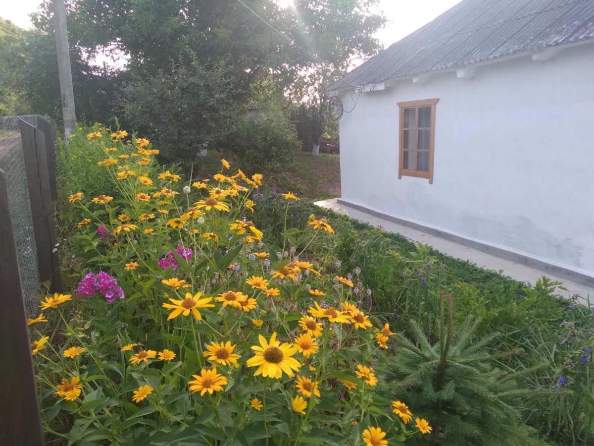 Соколине Гніздо Villa Dmitrenki Kültér fotó
