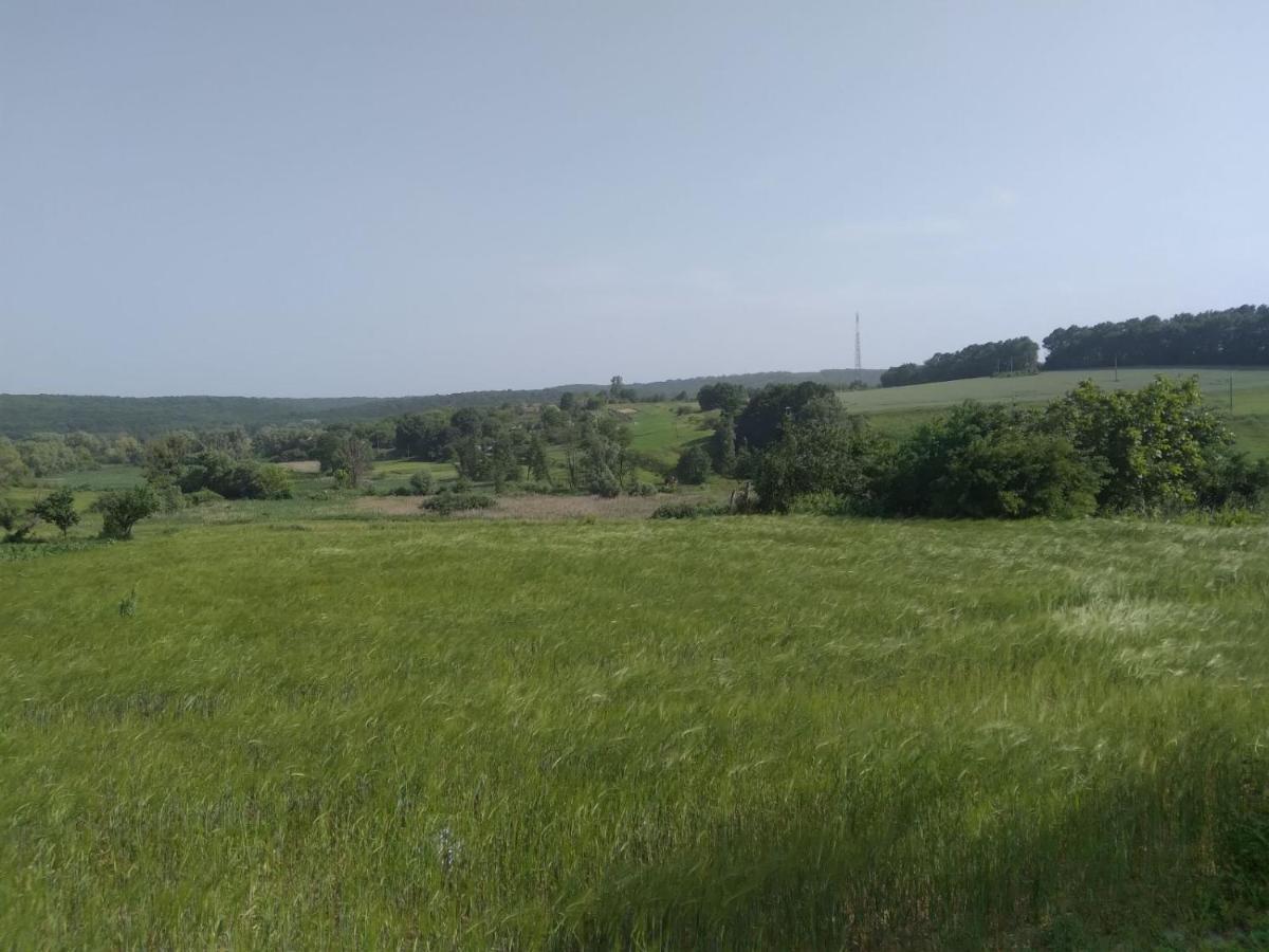 Соколине Гніздо Villa Dmitrenki Kültér fotó