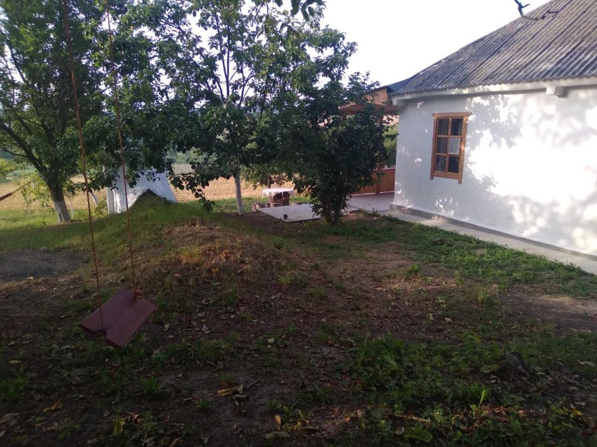 Соколине Гніздо Villa Dmitrenki Kültér fotó