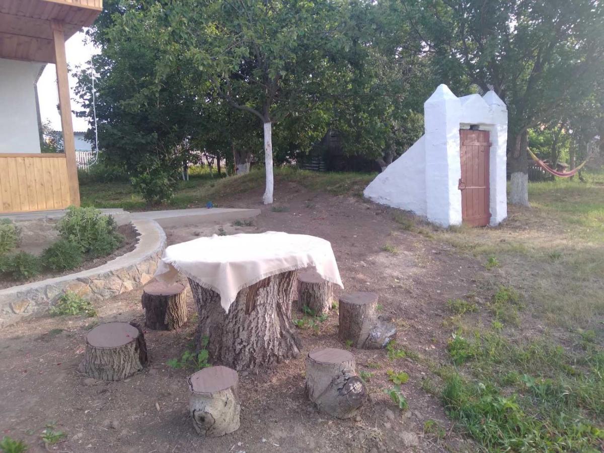 Соколине Гніздо Villa Dmitrenki Kültér fotó