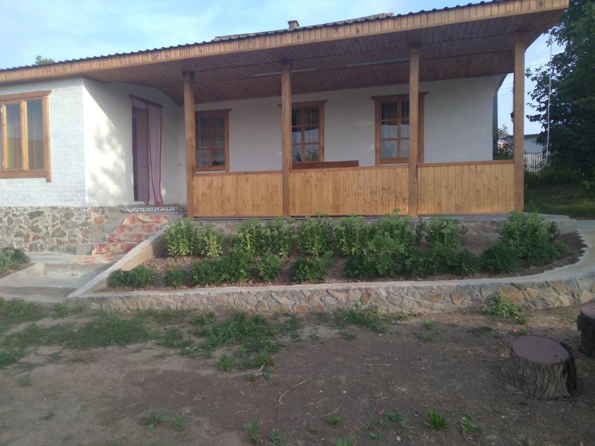 Соколине Гніздо Villa Dmitrenki Kültér fotó