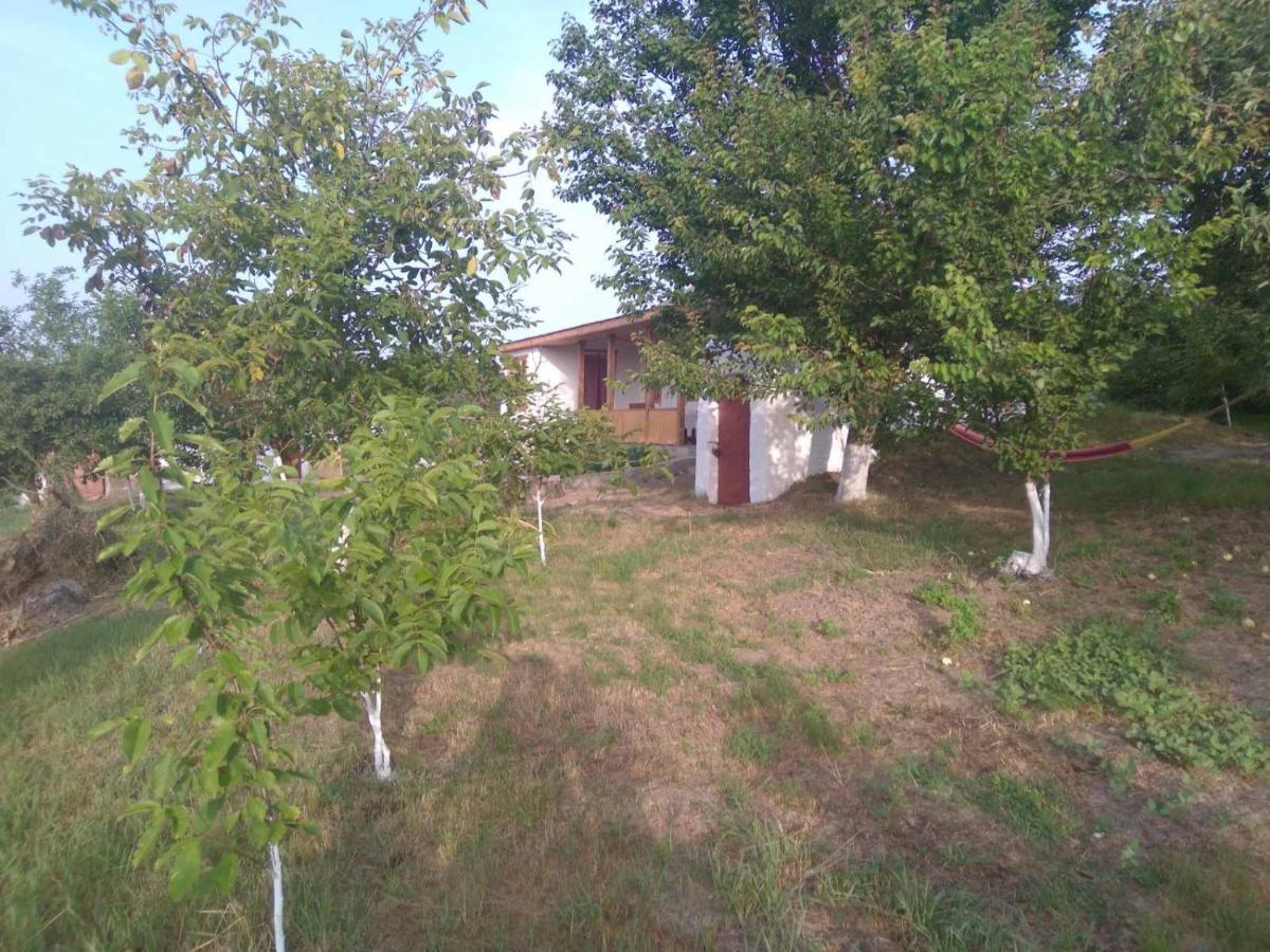 Соколине Гніздо Villa Dmitrenki Kültér fotó